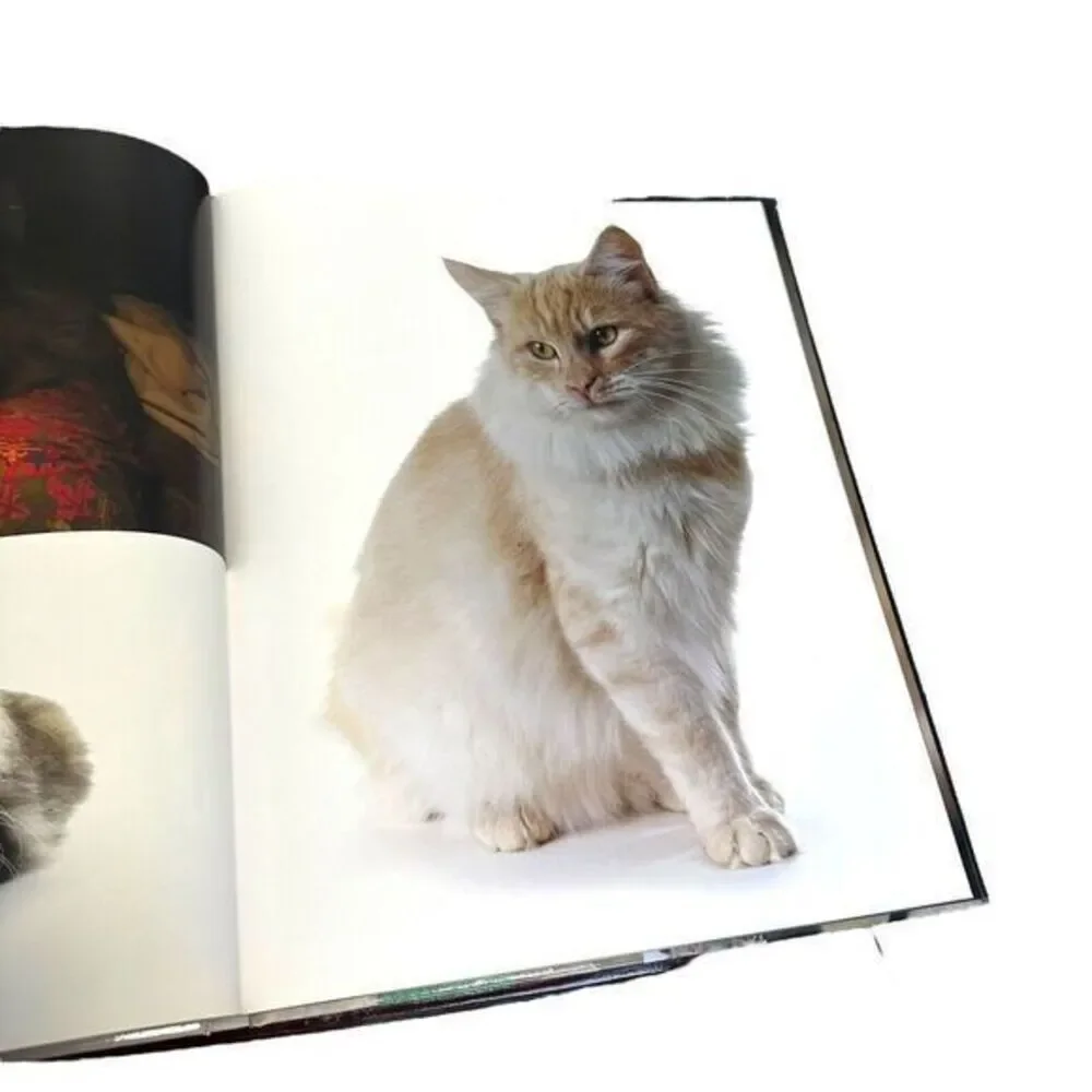 N/A interior book